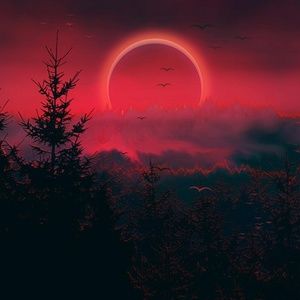 Meet your Posher, Briza